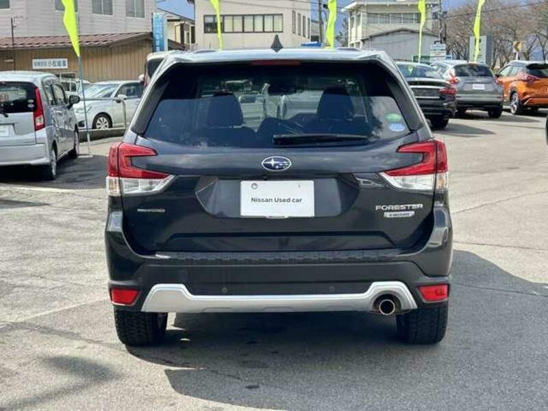 FORESTER