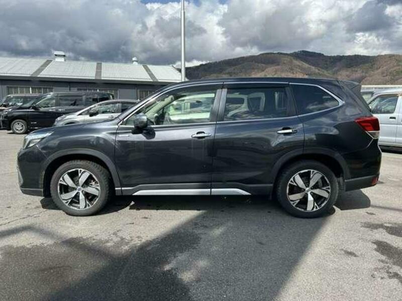 FORESTER