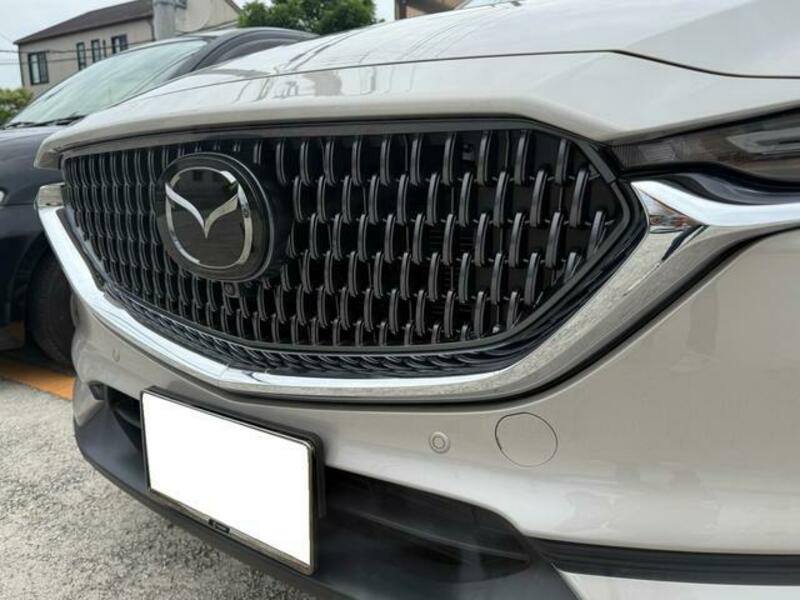 CX-8