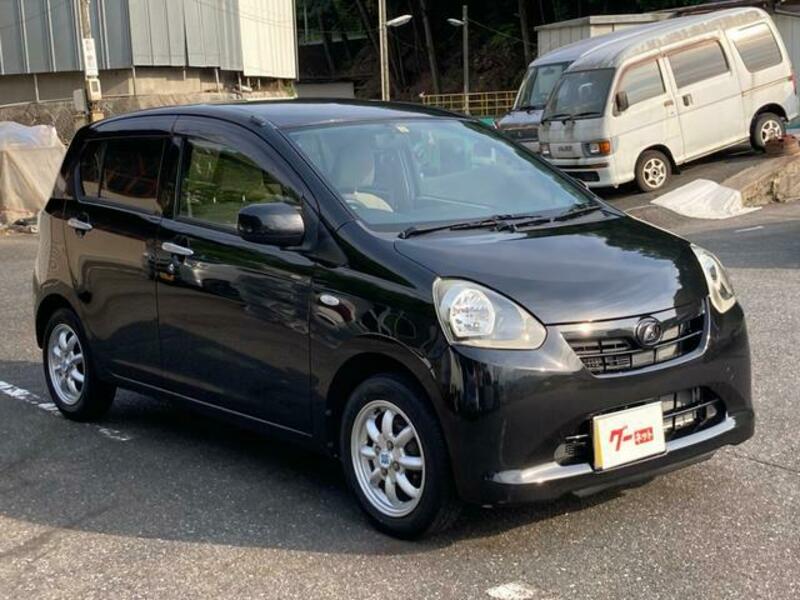 PLEO PLUS