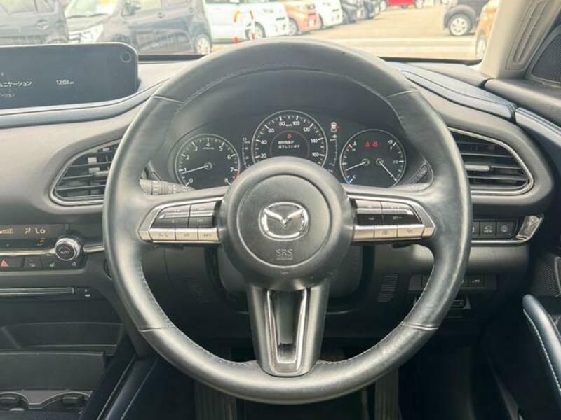 CX-30