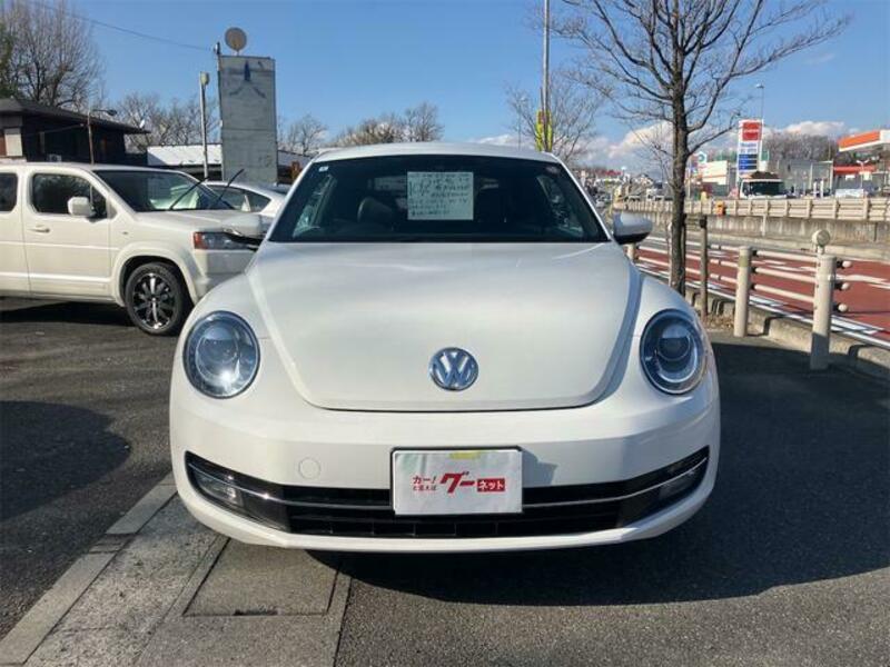 THE BEETLE