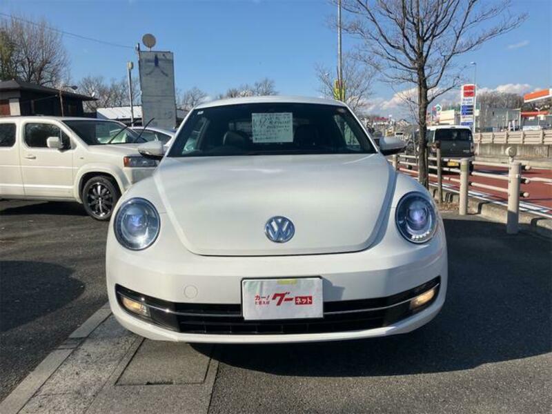THE BEETLE