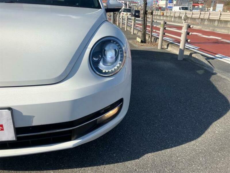 THE BEETLE