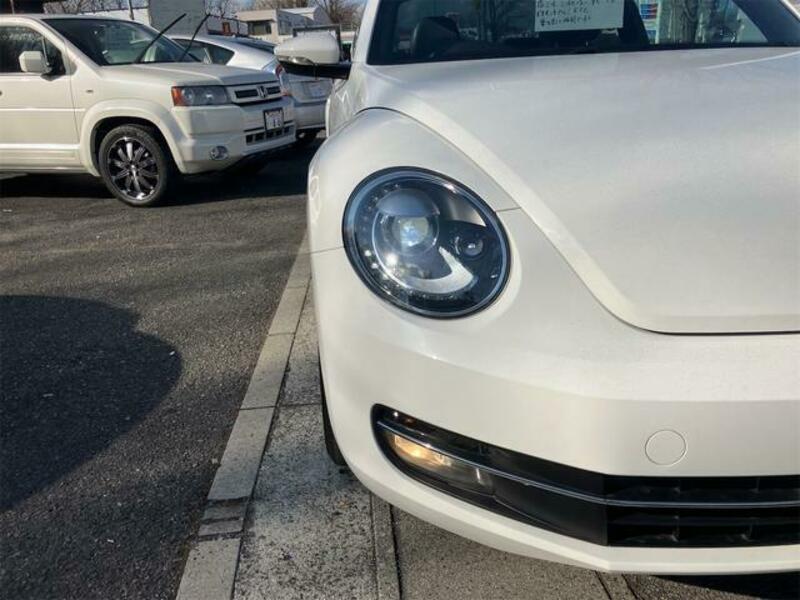 THE BEETLE