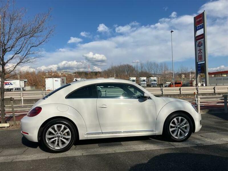 THE BEETLE