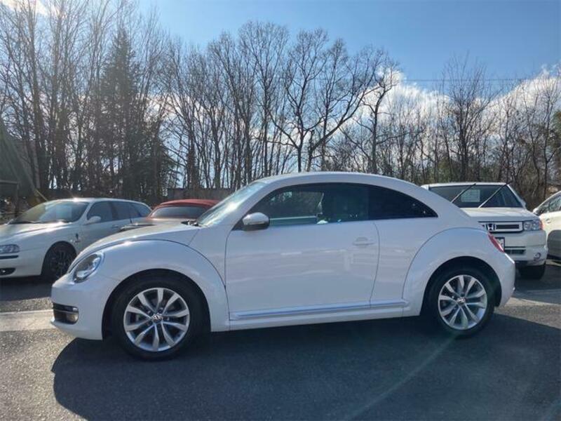 THE BEETLE