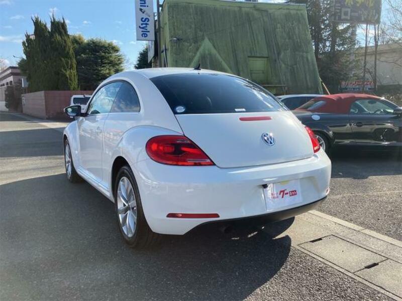 THE BEETLE