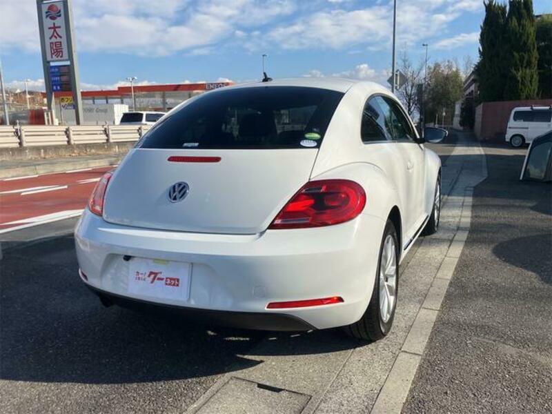 THE BEETLE