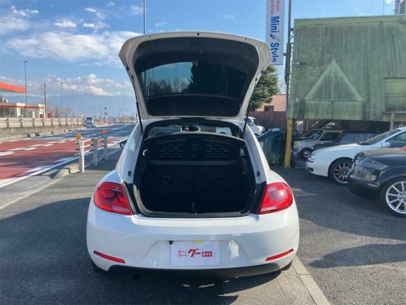 THE BEETLE