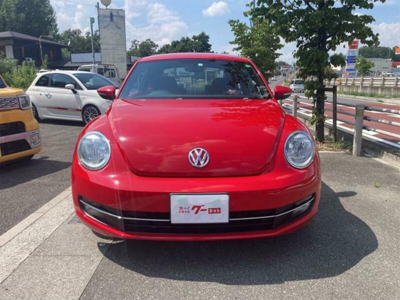 THE BEETLE