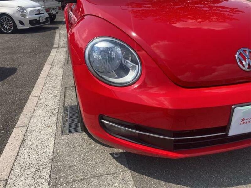 THE BEETLE