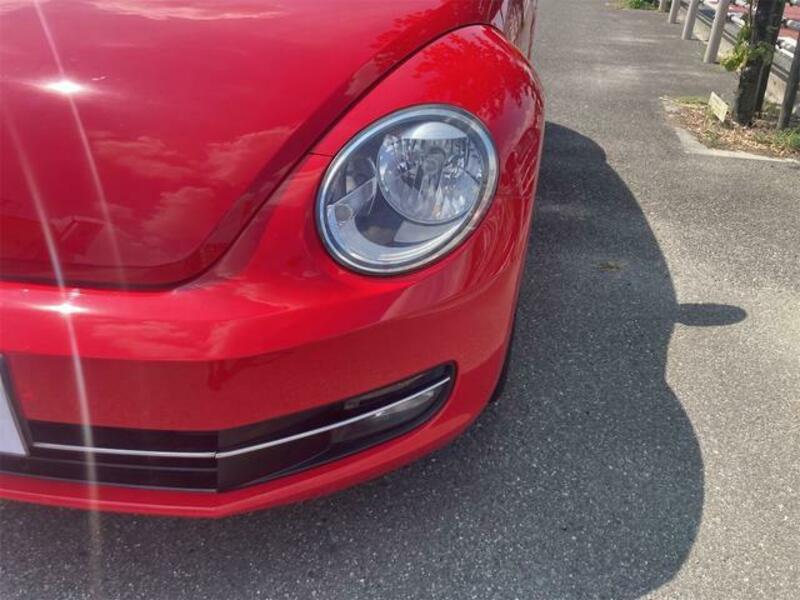 THE BEETLE