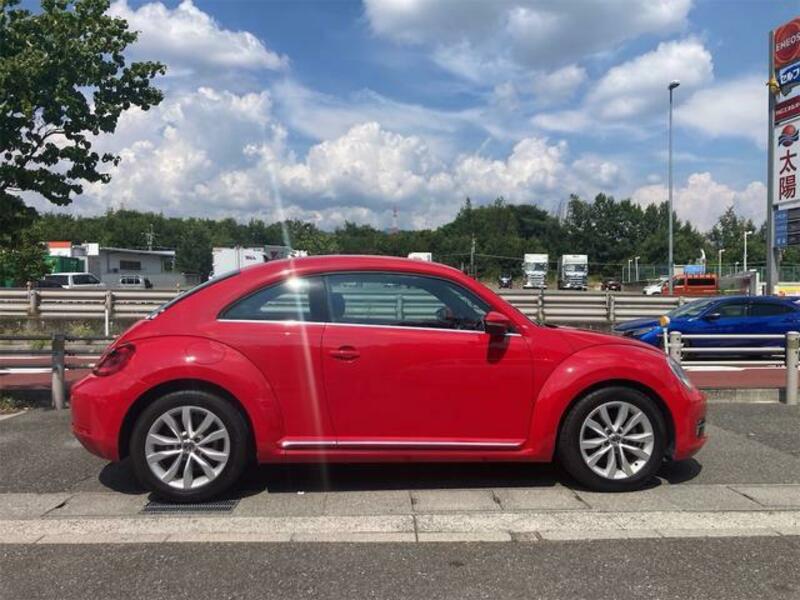 THE BEETLE