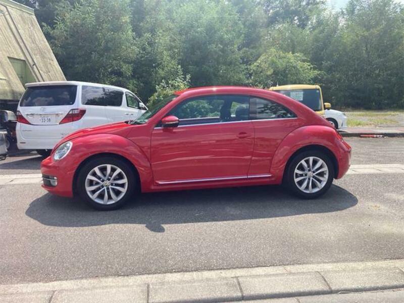 THE BEETLE