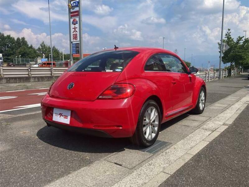 THE BEETLE