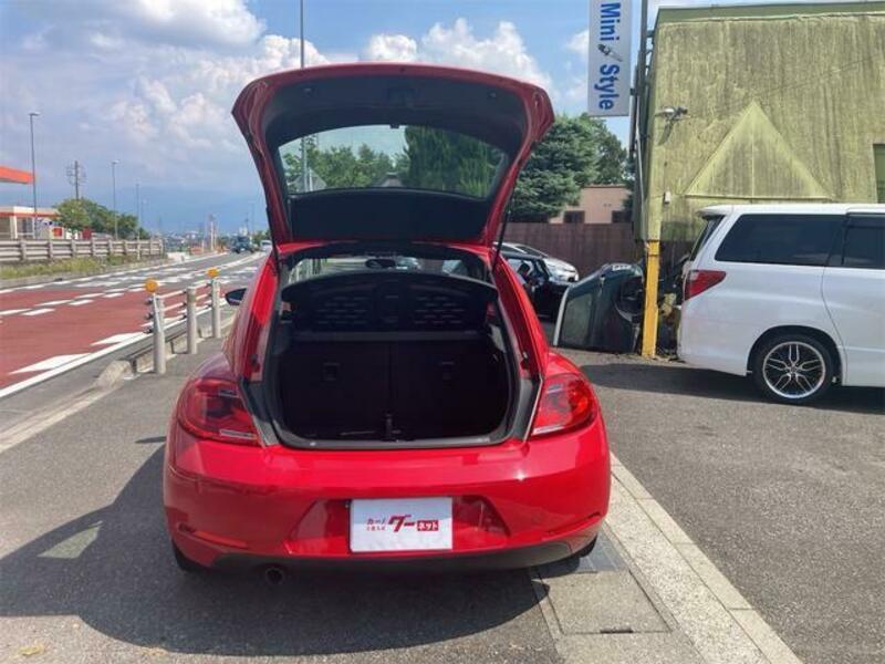 THE BEETLE