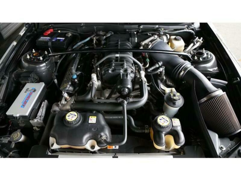 MUSTANG