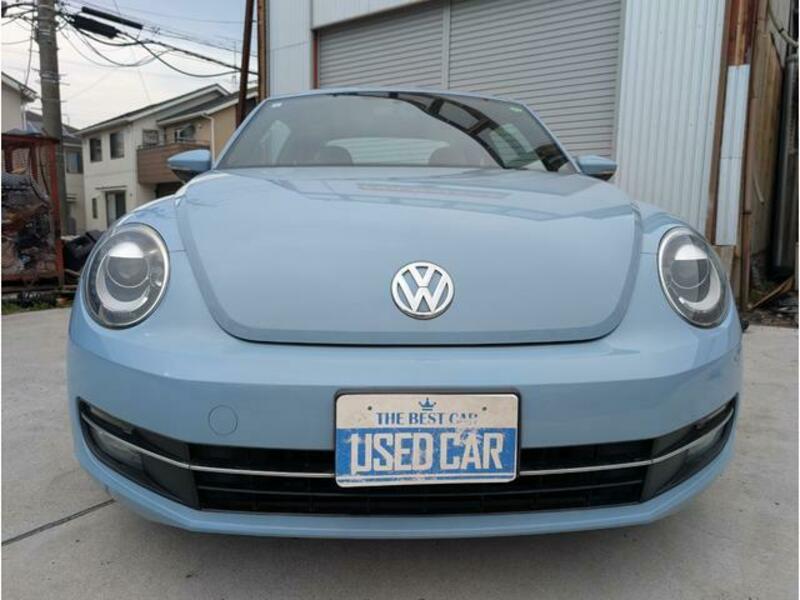 THE BEETLE