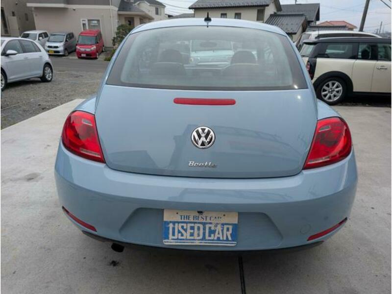THE BEETLE