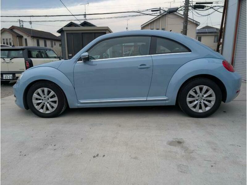 THE BEETLE