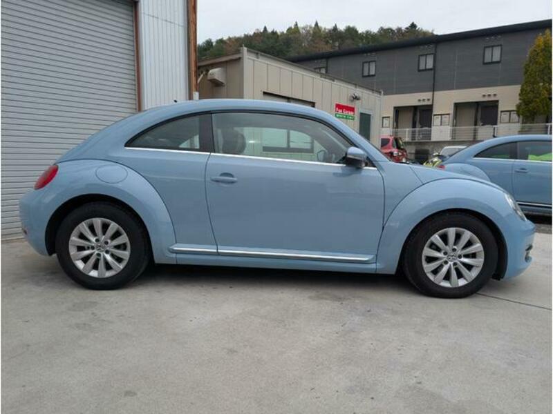 THE BEETLE