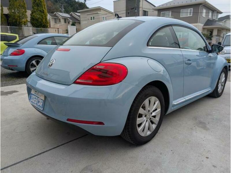 THE BEETLE