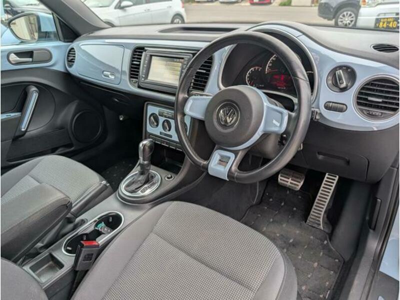 THE BEETLE