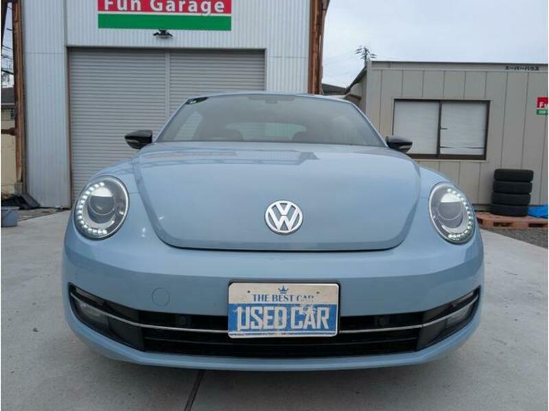 THE BEETLE