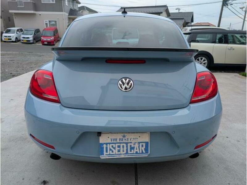 THE BEETLE