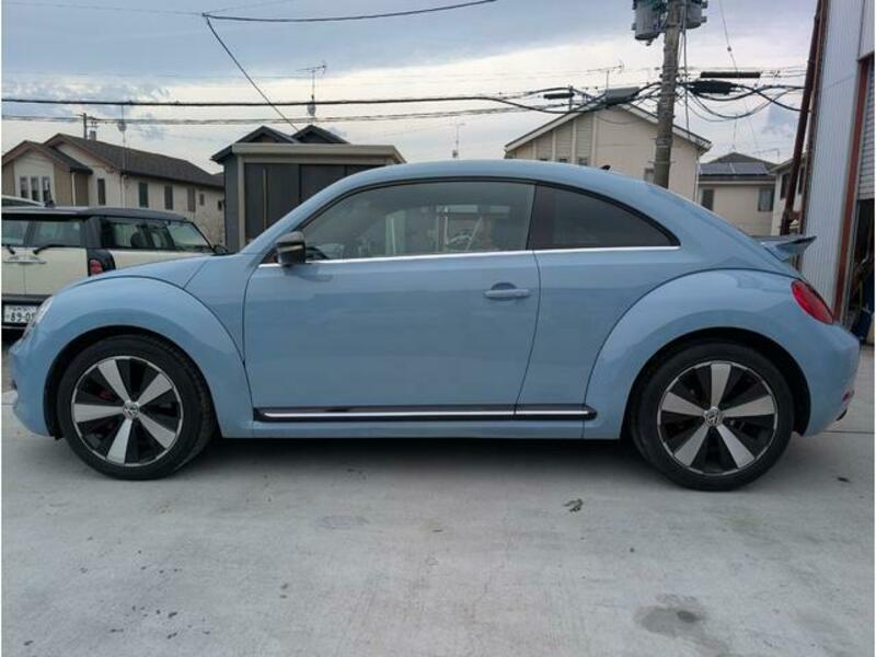 THE BEETLE