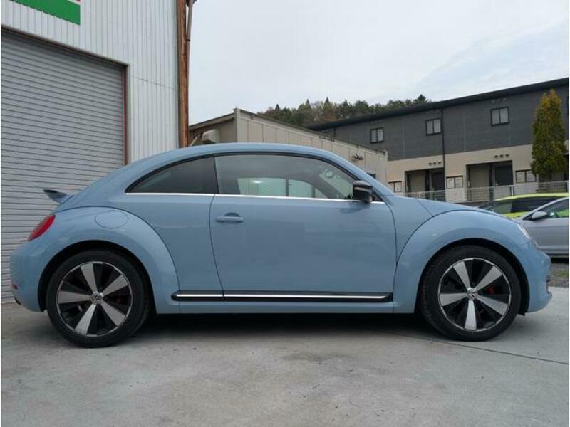 THE BEETLE
