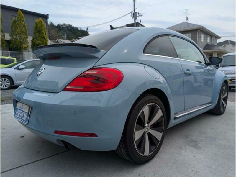 THE BEETLE