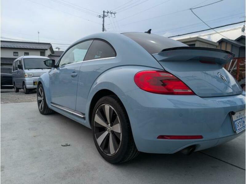 THE BEETLE