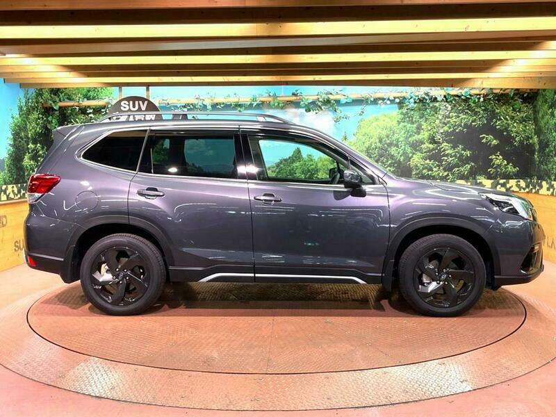 FORESTER