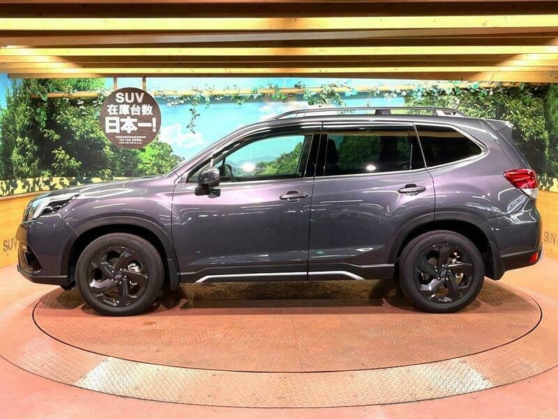 FORESTER
