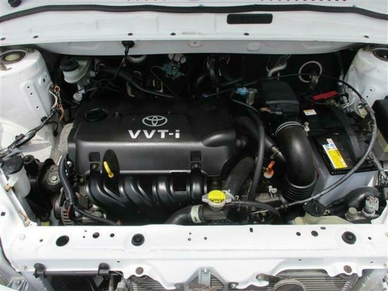 WILL VI