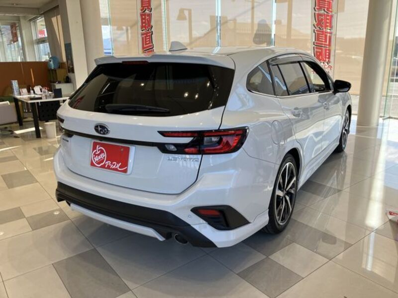 LEVORG