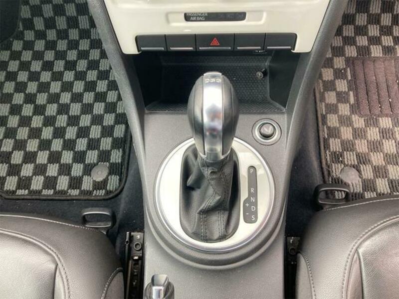 THE BEETLE