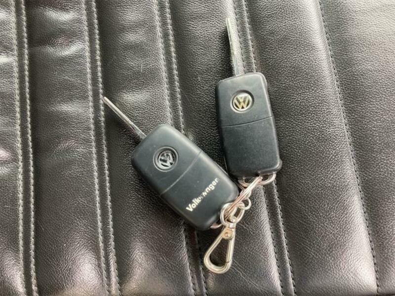 THE BEETLE