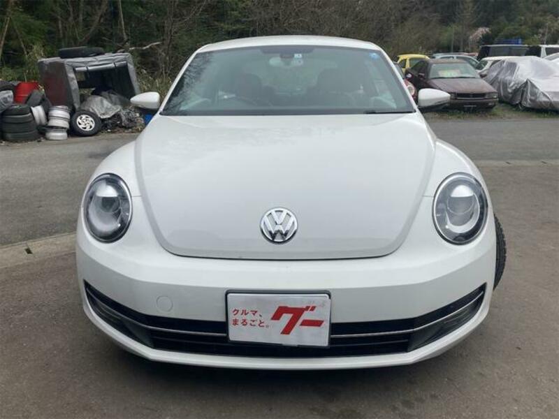 THE BEETLE