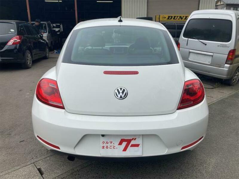 THE BEETLE