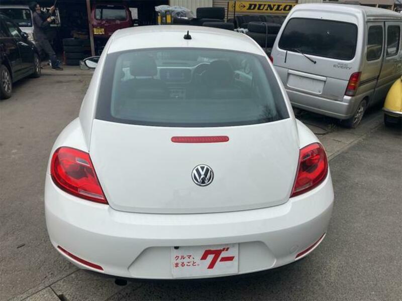 THE BEETLE