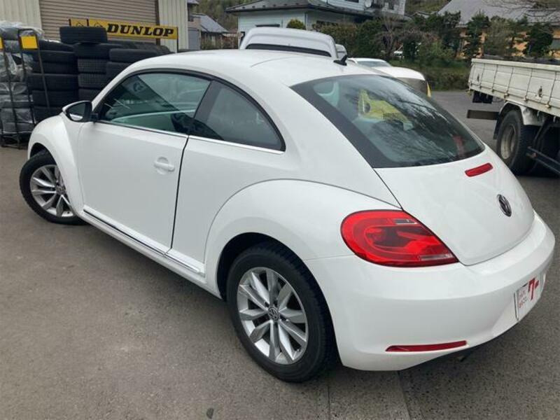 THE BEETLE