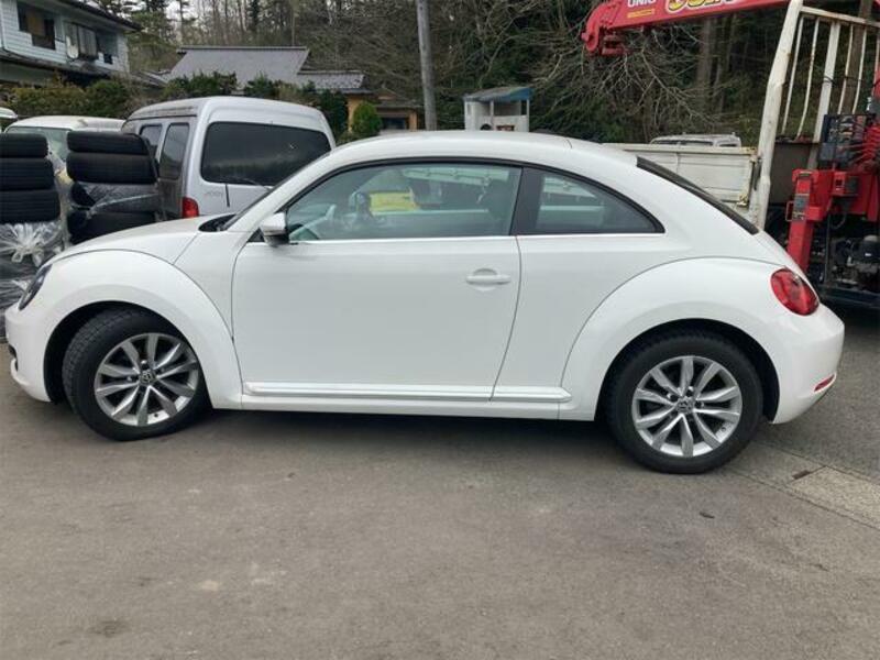 THE BEETLE