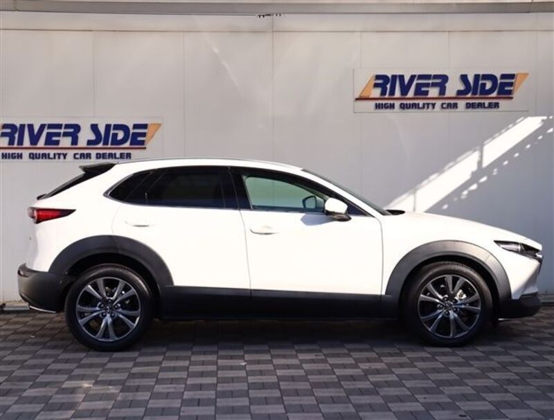 CX-30
