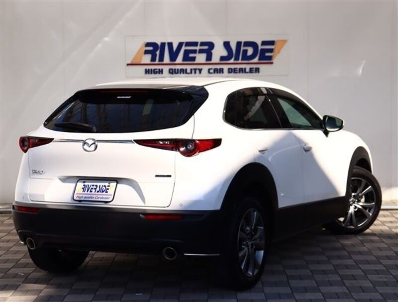CX-30