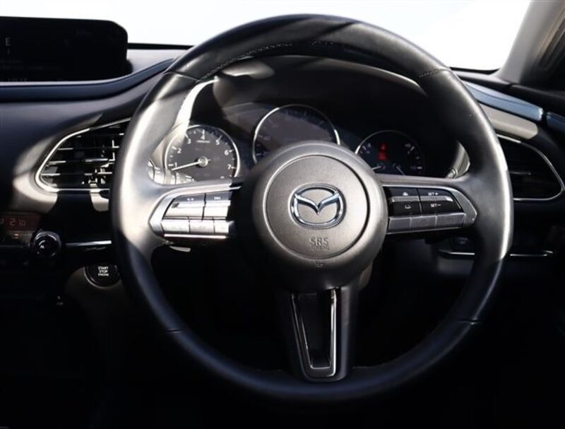 CX-30