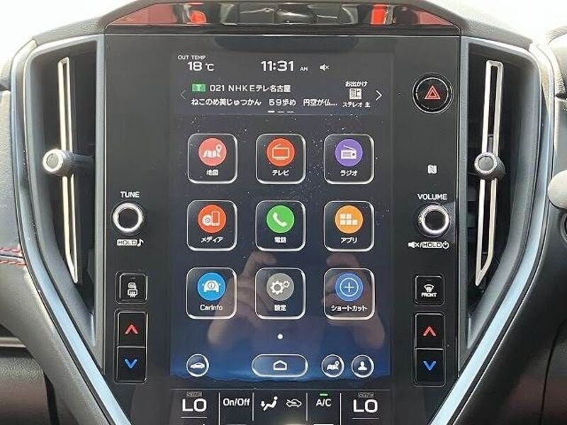 LEVORG
