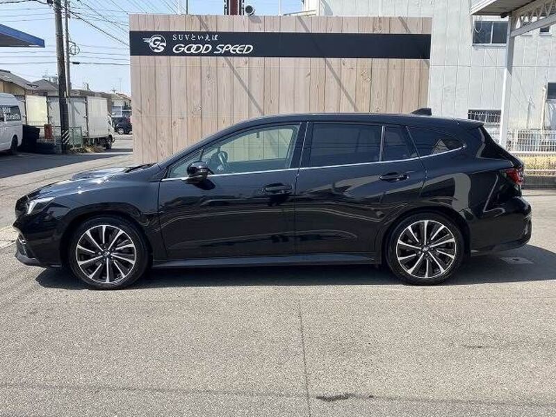 LEVORG